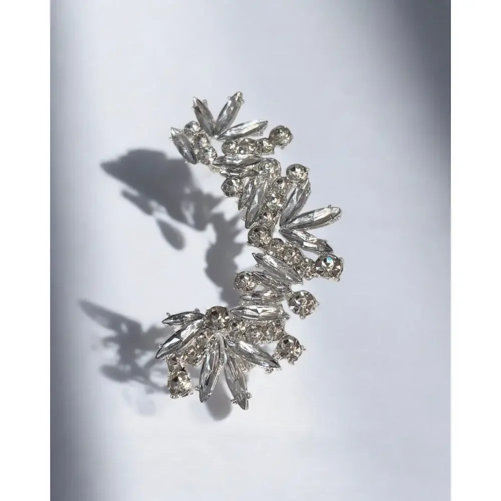 Luxury Right One Piece Silver Earring - Picture 6 of 6